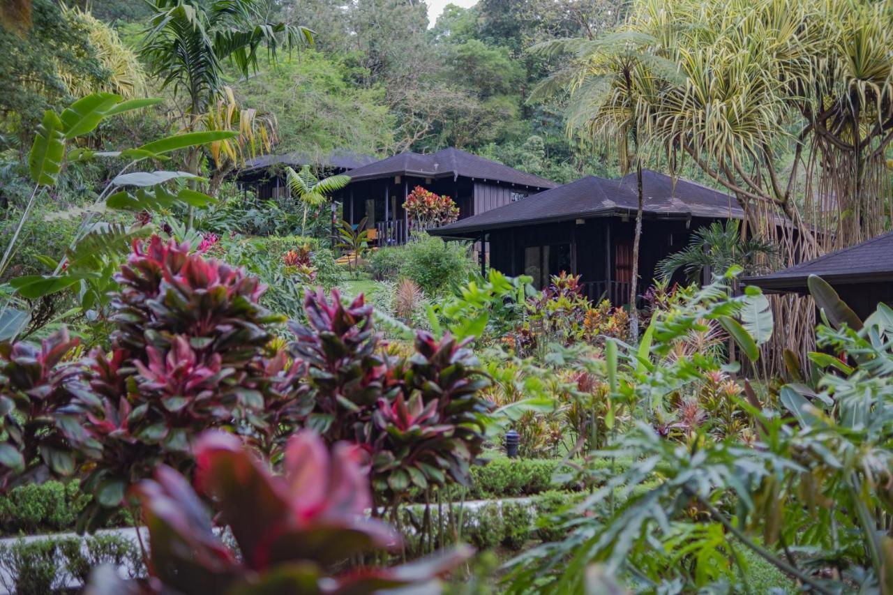 Hotel Lomas Del Volcan La Fortuna Exterior photo